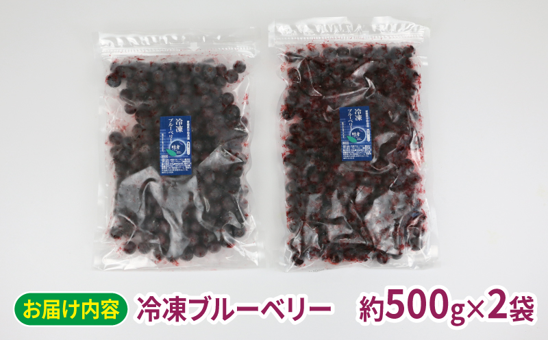 冷凍 ブルーベリー 500g 2袋 計1kg 粒楽 南四国ファーム 冷凍果実 果物 スムージー  お取り寄せ 自宅用  冷凍ブルーベリー フルーツ 国産 愛媛 宇和島 J013-035014