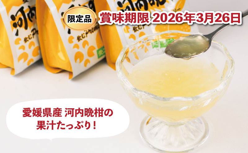 数量限定 訳あり みかんゼリー 飲むぷれみあむ ゼリー 河内晩柑 180g × 30個 愛工房 飲むゼリー みかん mikan 蜜柑 オレンジ 柑橘 フルーツゼリー 果物ゼリー 果物 フルーツ 果汁 飲料 小分け パック 期間限定 産地直送 国産 愛媛 宇和島 J015-034012