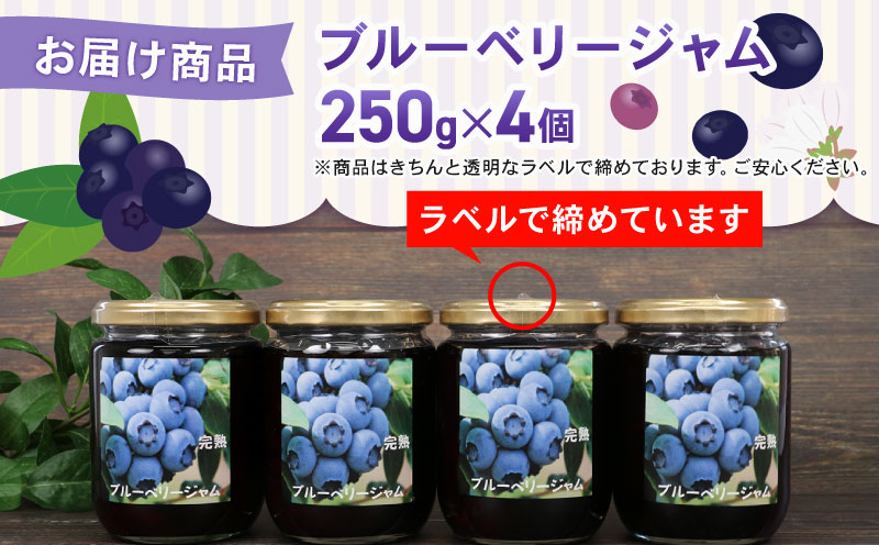 ブルーベリー ジャム 自家製 250g ×4個 計1kg 夢萬開 ブルーベリージャム berry 手作り 瓶 果物 くだもの フルーツ デザート ポリフェノール パン 朝食 ヨーグルト アイス お菓子 おすすめ アレンジ 農家直送 産地直送 数量限定 国産 愛媛 宇和島 J015-105002