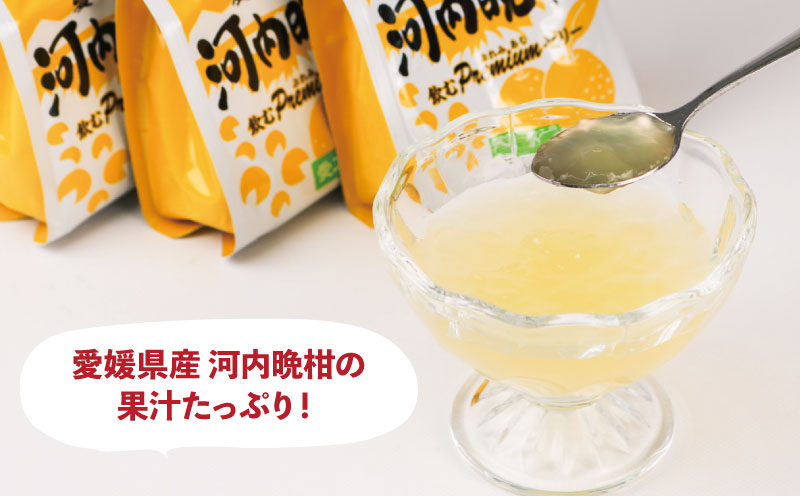 みかんゼリー 飲むぷれみあむ ゼリー 河内晩柑 180g × 30個 愛工房 飲むゼリー みかん mikan 蜜柑 オレンジ 柑橘 フルーツゼリー 果物ゼリー 果物 フルーツ 果汁 飲料 小分け パック 長期保存 備蓄 防災 産地直送 国産 愛媛 宇和島 J025-034007