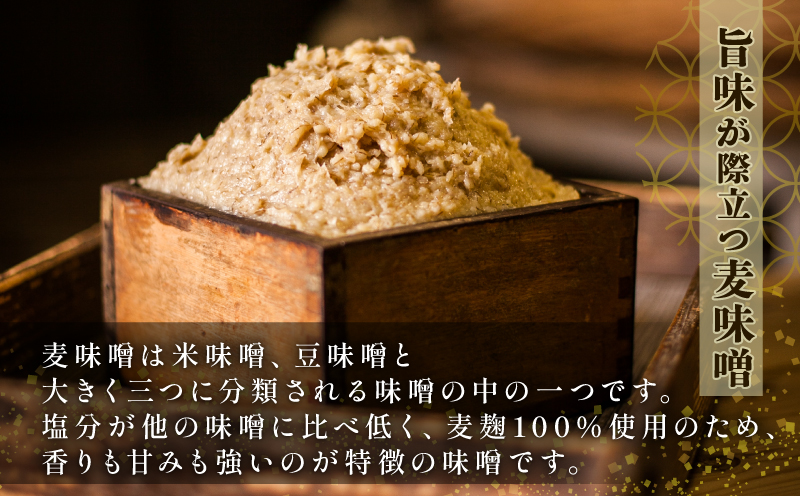 定期便 味噌 麦みそ 500g × 8袋 4kg 計3回 伊予醸造 麦みそ 味噌 みそ 食品 miso お味噌 おみそ 発酵 加工食品 発酵調味料 調味料 麦 麹 こうじ 味噌汁 みそ汁 お味噌汁 豚汁 汁 しる 焼き 味噌おにぎり おにぎり 和食 和 数量限定 国産 愛媛 宇和島 J029-107002