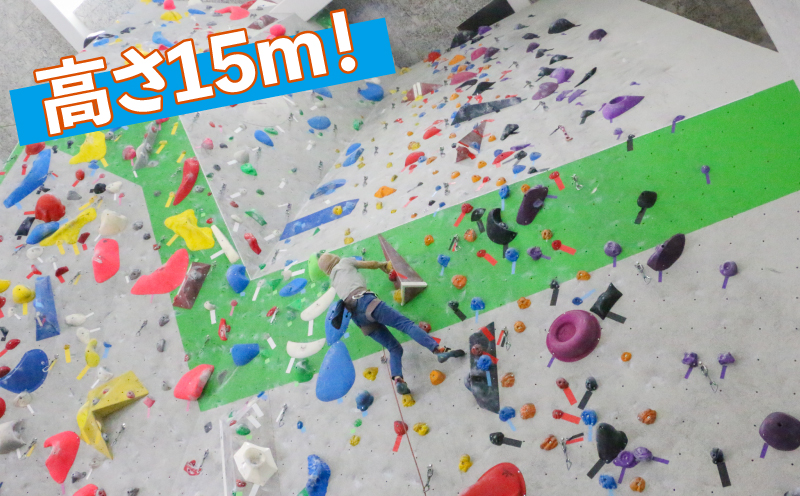 クライミング ボルダリング 回数券 11回分 一般 高校生 宇和島市スポーツ交流センター ロープクライミング チケット スポーツ 体験 アクティビティ オリンピック 山 岩 石 山岳 登山 家族 子供 子ども 愛媛 宇和島 L011-184001