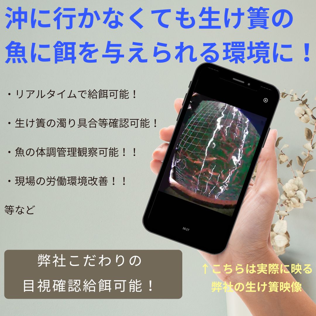 体験 餌やり 漁場 見学 チケット 1時間30分 コース 魚類養殖現場 AI 餌やり 体験 ＆ 漁場 見学 こもこもShop 給餌 自由研究 思い出 アクティビティ アウトドア 観光 旅行 魚 海鮮 魚介 愛媛 宇和島 L020-186009