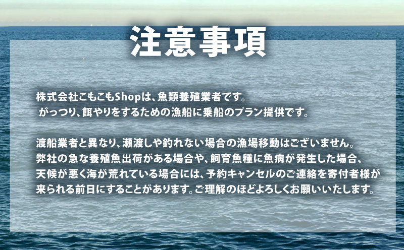 手 釣り 体験 チケット 養殖生け簀周辺で 手釣り 体験 2時間 コース こもこもShop 養殖場 船 魚 1尾 持ち帰り 体験 つり アクティビティ アウトドア フィッシング 観光 旅行 魚 海鮮 魚介 愛媛 宇和島 L040-186003
