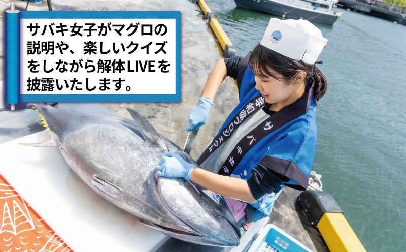 新鮮 マグロ 解体 出張 LIVE 関西開催限定 サバキ女子 宇和島プロジェクト 関西 関西地方 限定 マグロ解体ショー 解体ショー マグロ解体 本マグロ 黒マグロ 養殖マグロ 鮪 ショー イベント 結婚式 パーティー 愛媛 愛媛県 宇和島 L2510-071016
