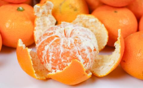 愛媛みかん 早生みかん 宮川早生 9kg 家庭用 植村農園 先行予約 温州蜜柑 温州みかん mikan 愛媛ミカン 愛媛蜜柑 愛媛みかん 温州 早生温州 早生 蜜柑 果物 くだもの フルーツ 柑橘 農家直送 産地直送 数量限定 国産 愛媛 愛媛産 宇和島 B010-153003