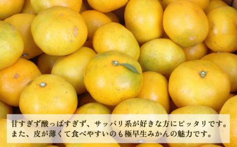 愛媛みかん 極早生みかん 9kg 家庭用 植村農園 先行予約 極早生 温州みかん 温州 mikan 愛媛ミカン 愛媛蜜柑 愛媛みかん 蜜柑 さっぱり 爽やか 果物 くだもの フルーツ 柑橘 農家直送 産地直送 数量限定 国産 愛媛 愛媛産 宇和島 B010-153001