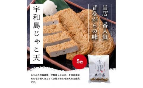 【郷土料理】  練り物 セット じゃこ天 かまぼこ 詰め合わせ B 4種 安岡蒲鉾店 蒲鉾 おつまみ C018-020002