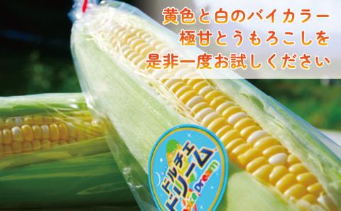とうもろこし スイートコーン ドルチェドリーム約5kg あかだ農園 朝採れ 甘い 採れたて コーン とうきび 夏野菜 旬 高糖度 甘い 野菜 やさい 数量限定 産地直送 農家直送 国産 愛媛 宇和島 F010-137002