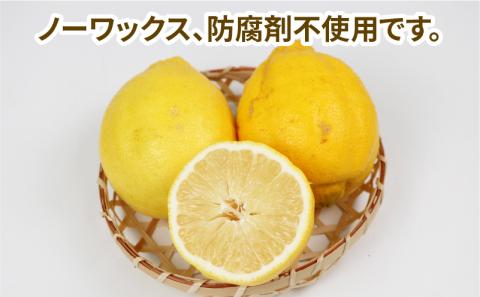 国産 訳あり 璃の香 ( レモン ) 5kg つばさ農園 防腐剤 ・ ワックス 不使用 国産レモン 先行予約 れもん 檸檬 レモン remon 果汁 酸味 高級 果物  ビタミン 健康 フルーツ 柑橘 みかん mikan 農家直送 産地直送 数量限定 愛媛 宇和島 B010-048014