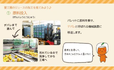 【100%ジュース】 宇和島 みかん ジュース 125ml ×30本 愛工房 温州 蜜柑 mikan 果物 くだもの フルーツ ストレート 紙パック 柑橘 国産 愛媛 宇和島 H020-034002