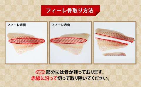 【愛媛県宇和島市産】真鯛 セット 計 1.5kg 愛媛県漁業協同組合遊子支所 マダイ たい tai 魚 刺身 D012-022004