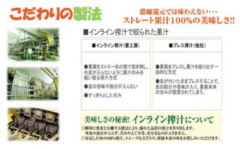 【100%ジュース】 みかん 不知火 100% 125ml ×30本 愛工房 蜜柑 mikan ストレート 紙パック 柑橘 国産 愛媛 宇和島 H020-034003