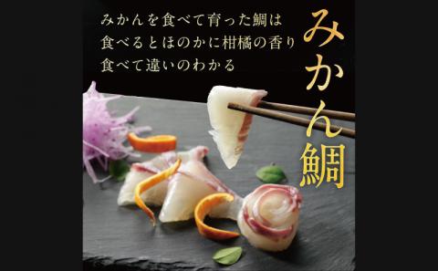 【数量限定】 みかん 真鯛 270g ~ 350g 半身 刺身 柵 2節 宇和島プロジェクト たい tai 刺身 魚 D012-071001