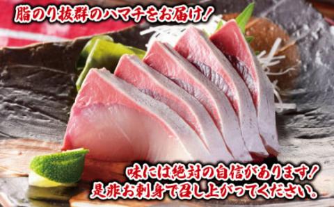 ハマチ セット 計 1kg 愛媛県漁業協同組合遊子支所 遊子 出世魚 ブリ 鰤 皮なし 皮付き ハマチカマ ブロック 加工 刺身 お刺身 刺し身 冷凍 D012-022005