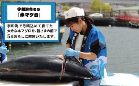 新鮮 マグロ 解体 出張 LIVE 関東開催限定 サバキ女子 宇和島プロジェクト 関東 関東地方 限定 マグロ解体ショー 解体ショー マグロ解体 本マグロ 黒マグロ 養殖マグロ 鮪 新鮮 ショー イベント 結婚式 パーティー 愛媛 愛媛県 宇和島 L2730-071012