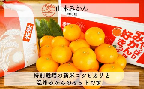 温州みかん 5kg 特別栽培米 コシヒカリ 3kg 計 8kg セット 山本みかん ふるさと納税限定 先行予約 早生 南柑20号 みかん mikan 蜜柑 果物 くだもの フルーツ 柑橘 ギフト 米 特別栽培 ご飯 お米 産地直送 数量限定 国産 愛媛 宇和島 B012-038002