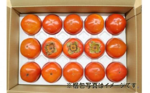 訳あり 次郎柿 15～16個 L・2L 5kg 末光農園 柿 かき フルーツ 果物 国産 愛媛  宇和島 F012-118001