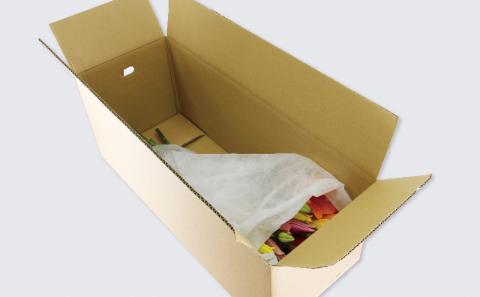 花束 ユリ 約10本 LA スカシユリ 百合 古岩園芸 花 花束 生花 切花 切り花 つぼみ 蕾 誕生日 記念日 プレゼント フラワー インテリア 自宅用 大輪花 国産 愛媛 宇和島 F012-049002