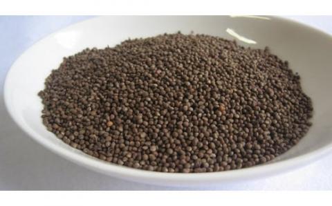 えごま油 生搾り 65g ×2本 手作り オイル 御槇米生産協議会 自家製 ごま油 えごま 100％ ピュアオイル オメガ3 油 調味料 調理油 加工品 数量限定 国産 愛媛 宇和島 J012-018004