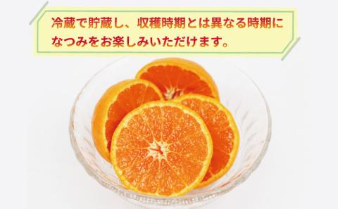 なつみ 訳あり 冷蔵なつみ 3kg  SS ~ Sサイズ 清五郎農園 完熟 甘い 南津海 果物 くだもの フルーツ 柑橘 みかん mikan ミカン デザート 果汁 爽やか 愛媛ミカン 愛媛みかん 蜜柑 オレンジ 産地直送 農家直送 数量限定 国産 愛媛 宇和島 B010-156003