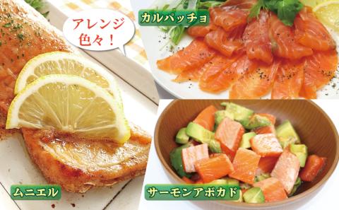 訳あり みきゃんサーモン フィーレ 約 600g ～ 700g 宇和島プロジェクト 国産サーモン サーモン 鮭 さけ 真空パック 刺身 数量限定 不揃い 国産 愛媛 宇和島 D016-071014