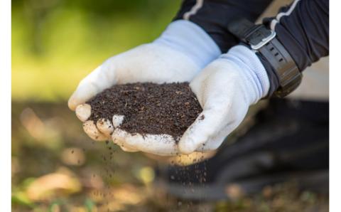 みかん ゼリー 温州みかん ジュレ 10個 本気の みかんゼリー 山本みかん 先行予約 南柑20号 温州 愛媛みかん 愛媛蜜柑 愛媛ミカン mikan 南夏ギフト フルーツゼリー デザート スイーツ 果物 くだもの フルーツ 農家直送 産地直送 数量限定 国産 愛媛 宇和島 J012-038007