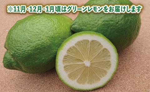 レモン 4kg 防腐剤 ワックス 不使用 つばさ農園 先行予約 B010-048012