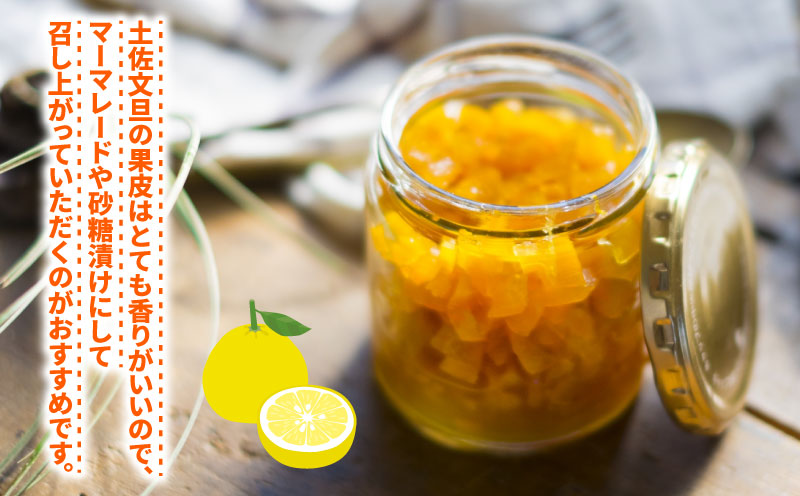 愛媛みかん 土佐文旦 4kg ワールドファーマーズ 先行予約 わけあり 訳あり品 ぶんたん 文旦 分担 果物 くだもの フルーツ 柑橘 蜜柑 みかん mikan ミカン 愛媛みかん  愛媛ミカン 愛媛県産 産地直送 農家直送 数量限定 国産 愛媛 宇和島 B010-024008