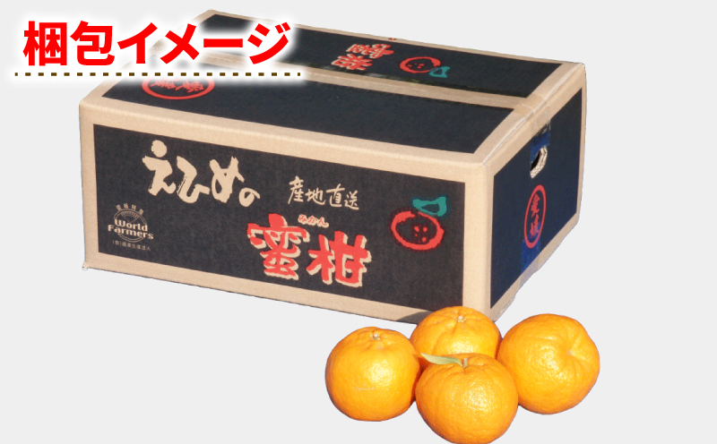 ぽんかん 5kg ワールドファーマーズ 先行予約 ポンカン みかん mikan 愛媛ミカン 愛媛蜜柑 愛媛みかん 果物 くだもの フルーツ 柑橘 甘い ジューシー 果肉 みかん 蜜柑 数量限定 産地直送 農家直送 国産 愛媛 宇和島 B010-024031