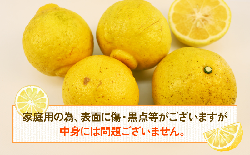 先行予約 はるか 9kg 家庭用 つばさ農園 B010-048002