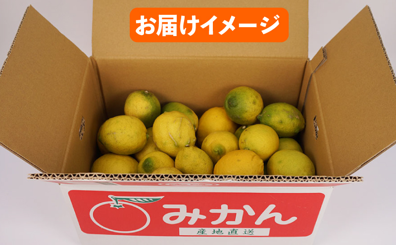 訳あり レモン 5.5㎏  不揃い 陽だまりミカン わけあり 檸檬 れもん レモン果汁 酸味 高級 果物 くだもの 愛媛県産 訳アリ 訳あり品 訳有り ビタミン 健康 フルーツ 柑橘 みかん 蜜柑 産地直送 数量限定 国産 愛媛 宇和島 B010-050008