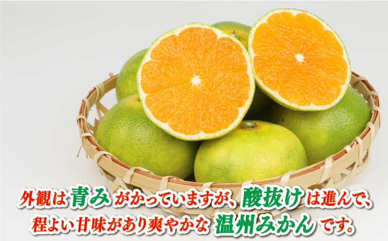 極早生みかん 家庭用 9kg サイズ不揃い 兵頭農園 先行予約 みかん mikan 愛媛ミカン 愛媛みかん 愛媛蜜柑 極早生 温州みかん 温州 精品 規格外混合 不揃い 果物 くだもの フルーツ 柑橘 蜜柑 産地直送 農家直送 数量限定 国産 愛媛 宇和島 B010-055007