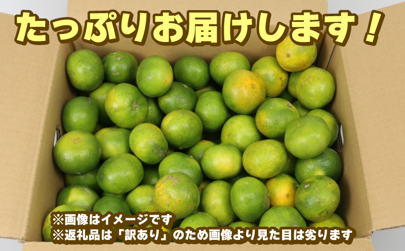 みかん 訳あり 極早生みかん 9kg 先行予約 玉津柑橘倶楽部 ミカン 温州みかん 温州 甘い さっぱり 爽やか 酸味 果物 くだもの フルーツ 柑橘 mikan 蜜柑 愛媛蜜柑 愛媛みかん わけあり 訳あり品 サイズ 不揃い 産地直送 数量限定 国産 愛媛 宇和島 B010-072029