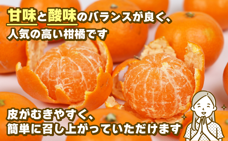 みかん 訳あり 小玉 温州みかん 早生 10kg 玉津柑橘倶楽部 早生温州 温州 みかん 早生みかん 小玉みかん 甘い 果物 くだもの フルーツ 柑橘 mikan 蜜柑 愛媛蜜柑 愛媛みかん わけあり サイズ 不揃い 産地直送 数量限定 国産 愛媛 宇和島 B010-072030