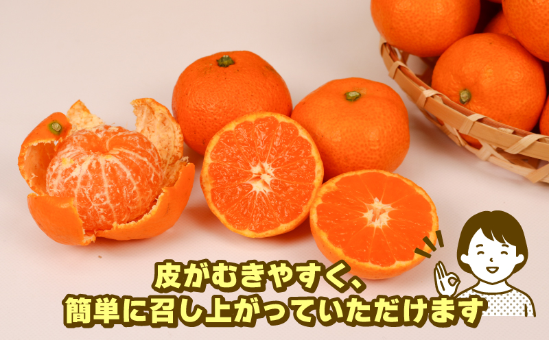 蜜柑 訳あり 小玉 温州みかん 南柑20号 10kg 玉津柑橘倶楽部 温州 みかん 小玉みかん 中生 甘い 果物 くだもの フルーツ 柑橘 mikan 愛媛蜜柑 愛媛みかん 愛媛ミカン ミカン わけあり サイズ 不揃い 産地直送 数量限定 国産 愛媛 宇和島 B010-072031