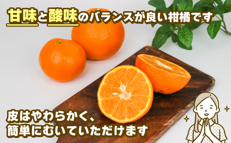 訳あり いよかん 8kg 玉津柑橘倶楽部 先行予約 伊予柑 甘い ジューシー プリプリ 果物 くだもの フルーツ 柑橘 みかん mikan 蜜柑 愛媛蜜柑 愛媛みかん 愛媛ミカン ミカン わけあり サイズ 不揃い 産地直送 数量限定 国産 愛媛 愛媛県産 宇和島 B010-072032