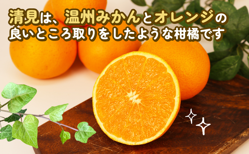 【訳あり】 清見 みかん 8kg 玉津柑橘倶楽部 愛媛 果物 フルーツ タンゴール mikan B010-072033