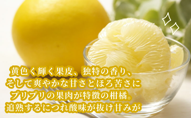 文旦 4kg 家庭用 先行予約 ハマみかん ミカン ぶんたん 果物 くだもの フルーツ 柑橘 かんきつ みかん 蜜柑 mikan  愛媛ミカン 愛媛蜜柑 愛媛みかん 農家直送 産地直送 数量限定 国産 愛媛 宇和島 B010-075003