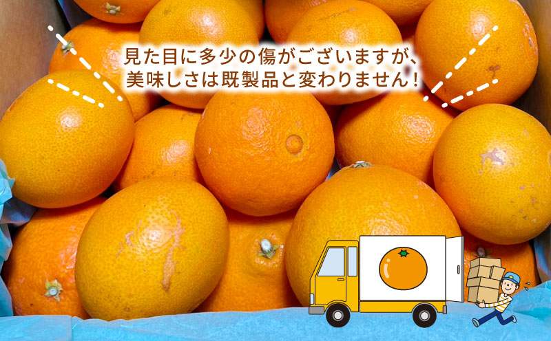 訳あり 愛果28号 ハウス栽培 約3kg ハマみかん 先行予約 高級 ブランド ゼリー プルプル 限定 品種 甘い 果物 フルーツ 柑橘 みかん サイズ 不揃い ハウス  愛媛ミカン 愛媛蜜柑 愛媛みかん 産地直送 農家直送 数量限定 国産 愛媛 宇和島 B010-075009