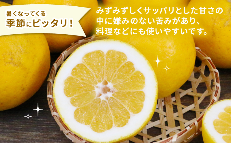 河内晩柑 8kg ハマみかん 先行予約 家庭用 蜜柑 mikan グレープフルーツ 果物 くだもの 産地直送 農家直送 数量限定 国産 愛媛 宇和島 B010-075010