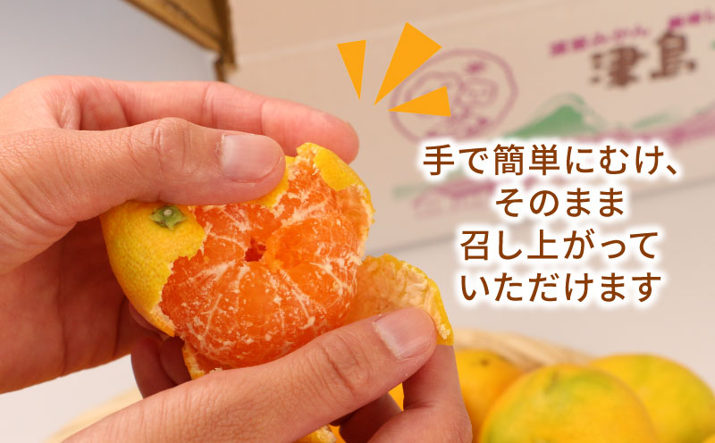 訳あり 温室みかん 7月～8月上旬発送 ハマみかん 温州みかん 温室蜜柑 ハウス栽培 ハウスみかん 訳アリ 訳あり品 ふるさと納税訳あり 興津 早生 ハウス みかん mikan 果物 フルーツ 柑橘 蜜柑 愛媛ミカン 愛媛蜜柑 愛媛みかん 農家直送 産地直送 数量限定 国産 愛媛 宇和島 B010-075012