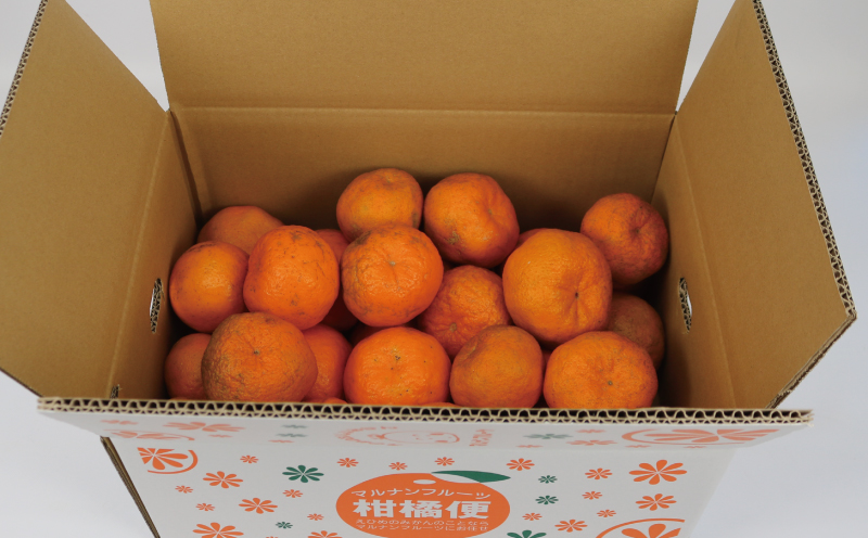 【訳あり】ポンカン 9kg マル南フルーツ ぽんかん 不揃い 愛媛 みかん 蜜柑 mikan 柑橘 フルーツ 数量限定 国産 愛媛 宇和島 B010-106001