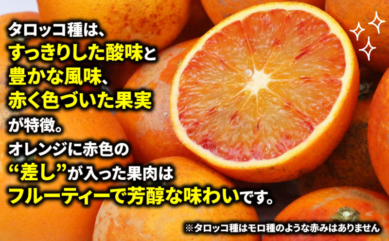 訳あり ブラッドオレンジ タロッコ 5kg サイズ 不揃い マル南フルーツ 先行予約 果物 オレンジ フルーツ 柑橘 みかん 国産 愛媛 宇和島 産地直送 農家直送 数量限定 B010-106011