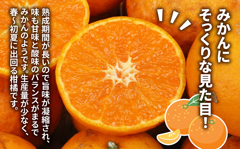 訳あり なつみ みかん 5kg 初夏のみかん マル南フルーツ 先行予約 サイズ 不揃い みかん 蜜柑 南津海 果物 くだもの フルーツ 旬 高級 ブランド 希少 柑橘 産地直送 数量限定 先行予約 国産 愛媛 宇和島 B010-106012