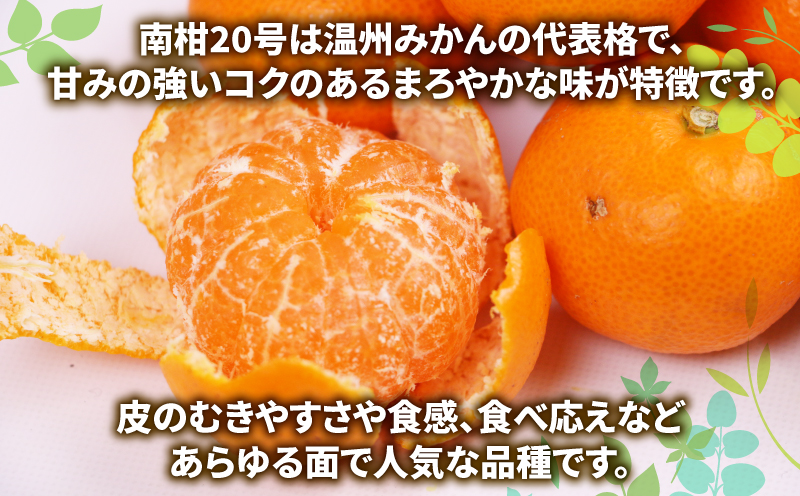 訳あり みかん 南柑20号 9kg マル南フルーツ B010-106018