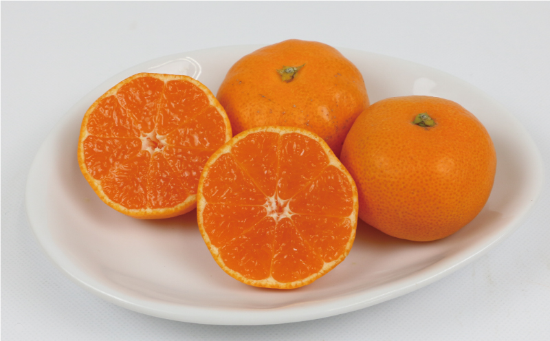 みかん 訳あり 完熟 プチ みかん 早生みかん 5kg 杉本屋 完熟みかん mikan わけあり 小玉みかん 小みかん 愛媛みかん 愛媛蜜柑 温州 早生温州 温州みかん 果物 くだもの フルーツ 柑橘 みかん 蜜柑 産地直送 数量限定 国産 愛媛 宇和島 B010-143003