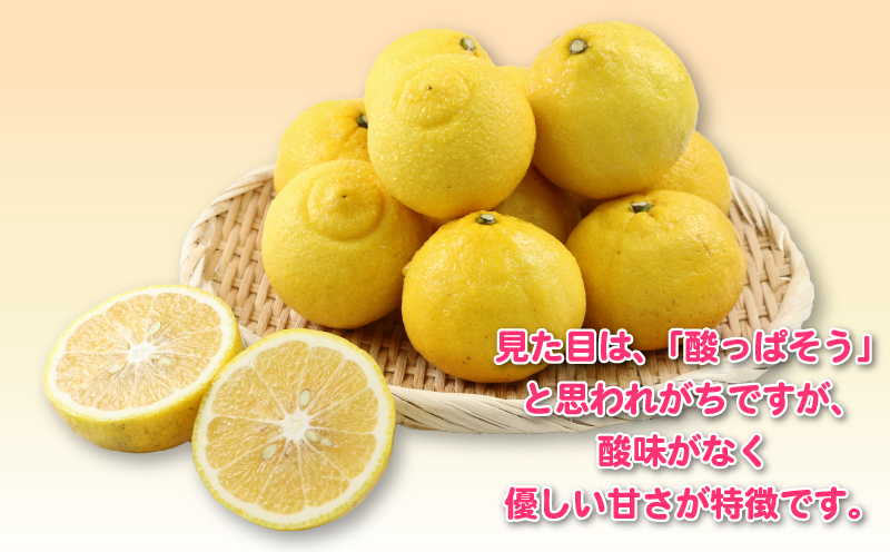 はるか 訳ありみかん 訳あり はるか 5kg 杉本屋 先行予約 わけあり 訳あり 訳あり品 果物 くだもの フルーツ 柑橘 蜜柑 みかん mikan グルメ お取り寄せ デザート ビタミン 愛媛県産 愛媛みかん 愛媛ミカン 産地直送 数量限定 国産 愛媛 宇和島 B010-143008
