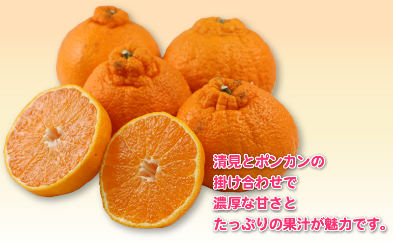 不知火 5kg 訳あり 不知火 杉本屋 先行予約 果物 くだもの わけあり 訳あり品 フルーツ 柑橘 蜜柑 みかん 不知火みかん mikan ミカン グルメ お取り寄せ デザート ビタミン 愛媛県産 愛媛みかん 愛媛ミカン 産地直送 数量限定 国産 愛媛 宇和島 B010-143009