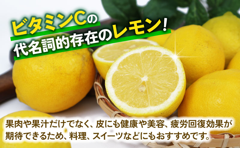 訳あり レモン 5kg  杉本屋 先行予約 わけあり れもん 檸檬 レモン果汁 酸味 高級 爽やか 果実 サワー ジュース チューハイ remon 青レモン れもん 檸檬 果物 くだもの ビタミン フルーツ 柑橘 農家直送 産地直送 数量限定 国産 愛媛 宇和島 B010-143012